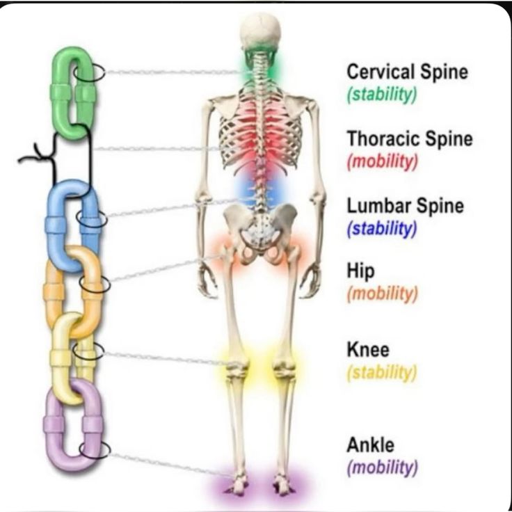 The Mobility Stability Chain Fix Weak Links for Pain Free Movement